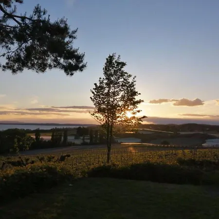 Behringer Immenstaad am Bodensee