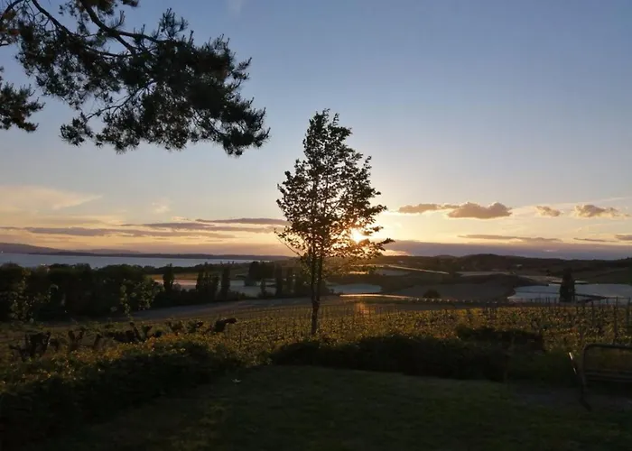 Behringer Immenstaad am Bodensee