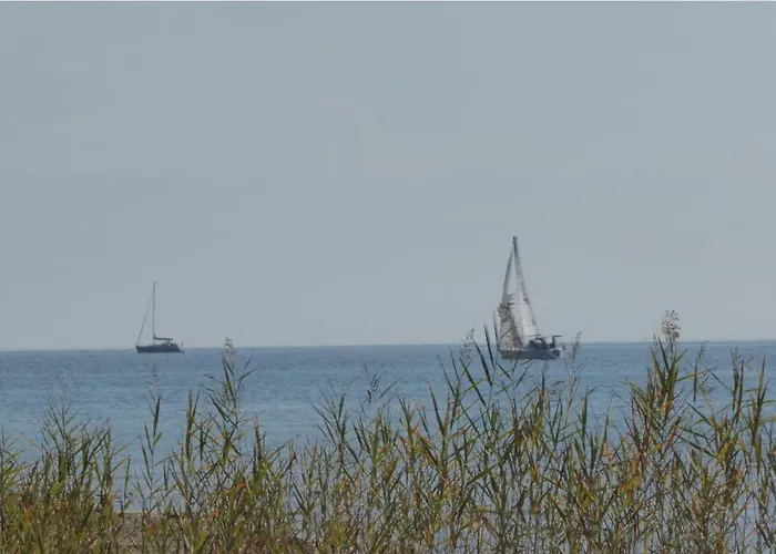 Behringer Immenstaad am Bodensee
